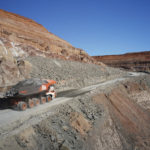 Bis-designed Rexx goes the distance at Granny Smith