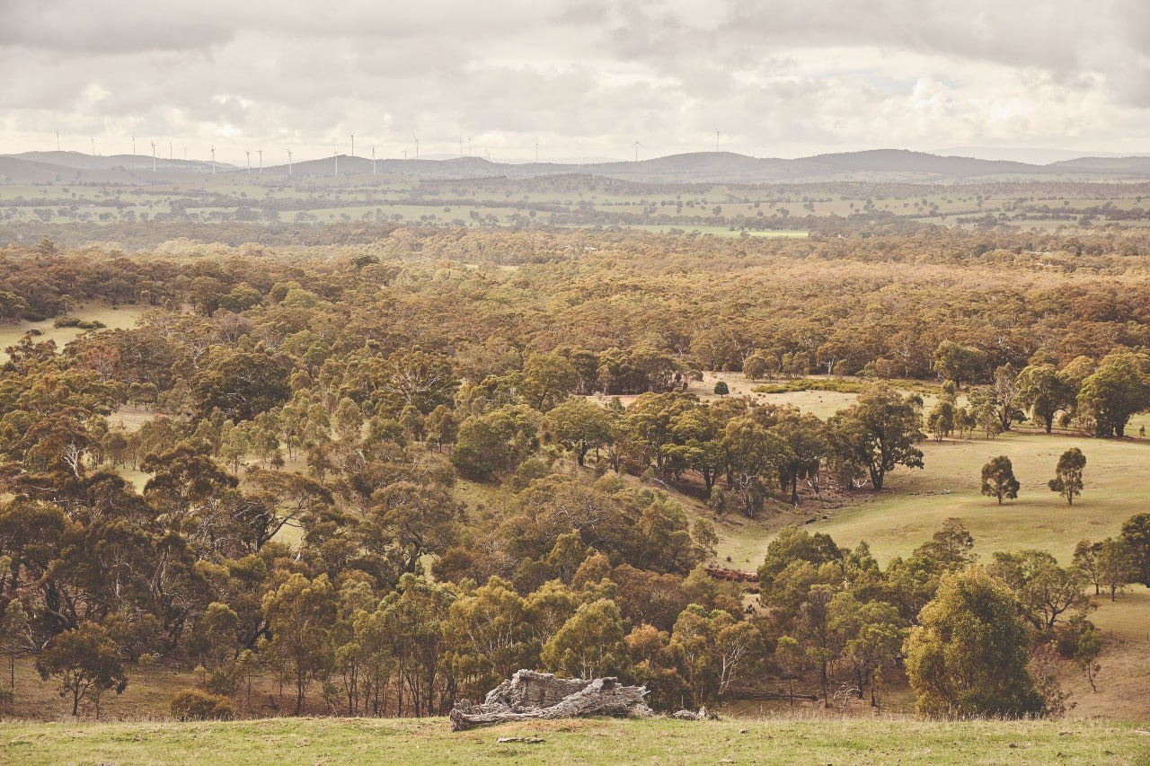 The Victorian goldfields include active mines such as Fosterville, Costerfield, Stawell and Ballarat. Image: Aureka